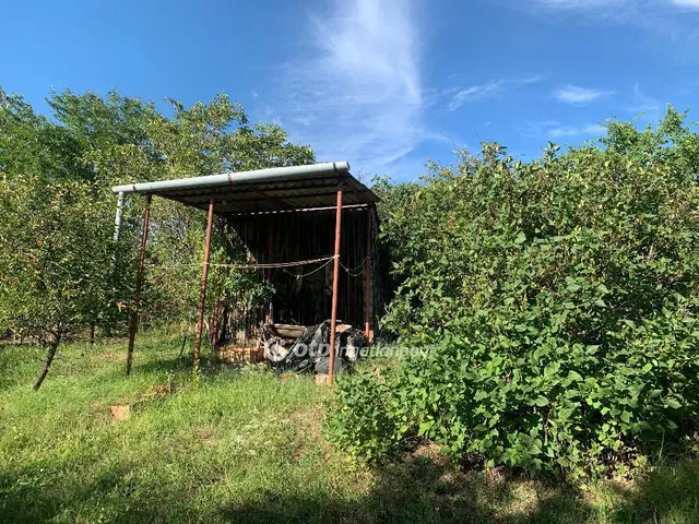 Eladó telek Gyúró 1214 nm