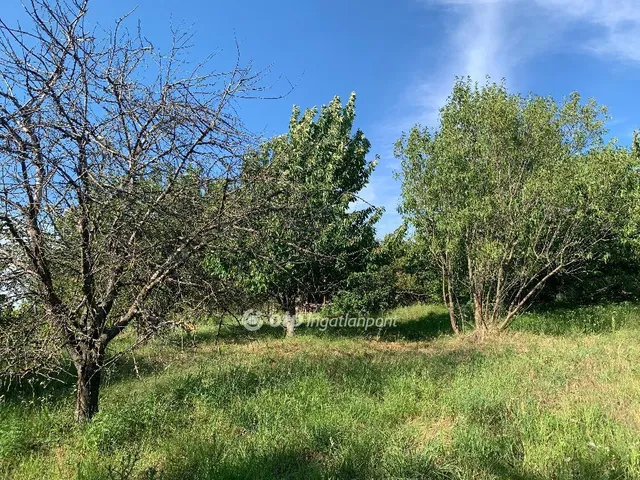 Eladó telek Gyúró 1214 nm