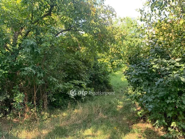 Eladó telek Gyúró 1214 nm