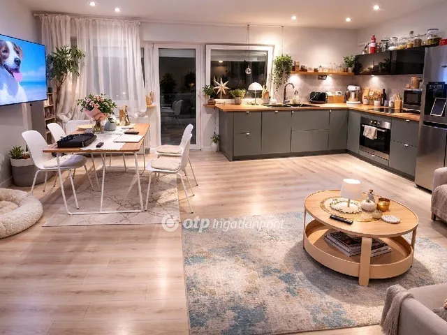 Eladó lakás Halásztelek 56 nm