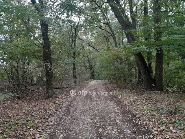 Eladó mezőgazdasági ingatlan Tarján 17264 nm