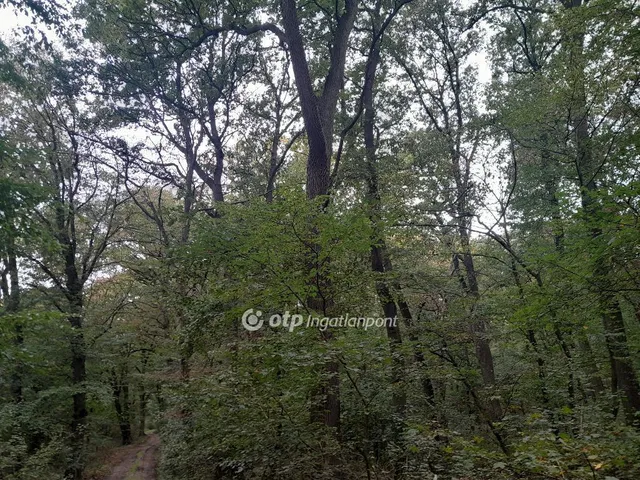 Eladó mezőgazdasági ingatlan Tarján 17264 nm