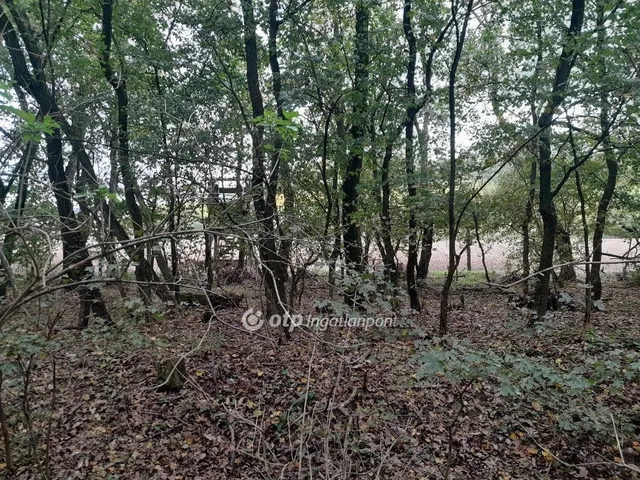 Eladó mezőgazdasági ingatlan Tarján 17264 nm