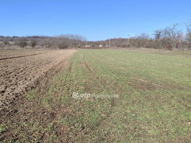 Eladó mezőgazdasági ingatlan Tök 1765 nm
