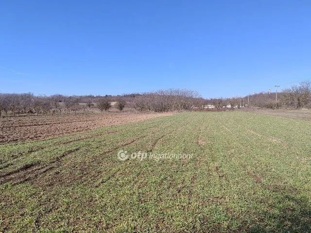 Eladó mezőgazdasági ingatlan Tök 1765 nm