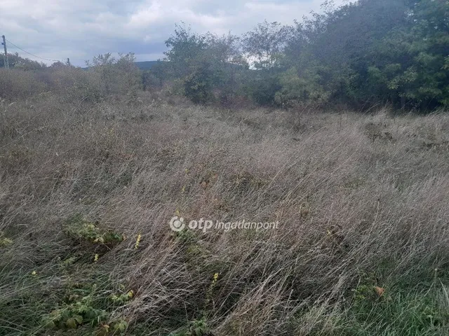 Eladó telek Szár 1028 nm