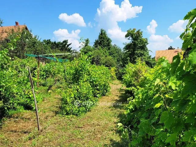 Eladó ház Érd 81 nm