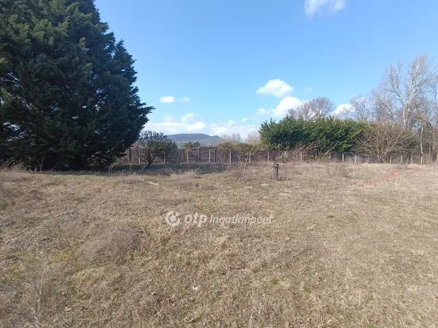 Eladó ház Szigetmonostor 345 nm