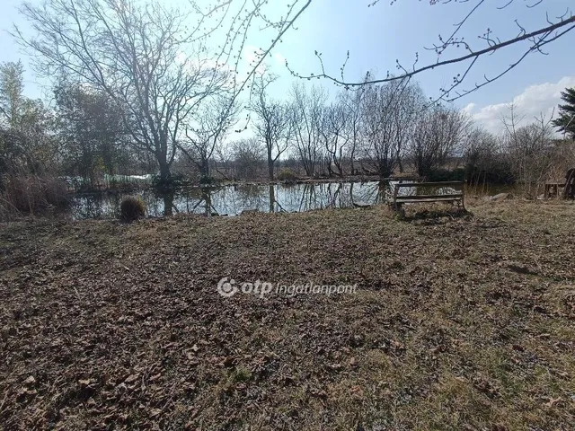 Eladó ház Szigetmonostor 345 nm