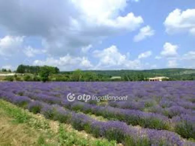 Eladó mezőgazdasági ingatlan Páty 20000 nm