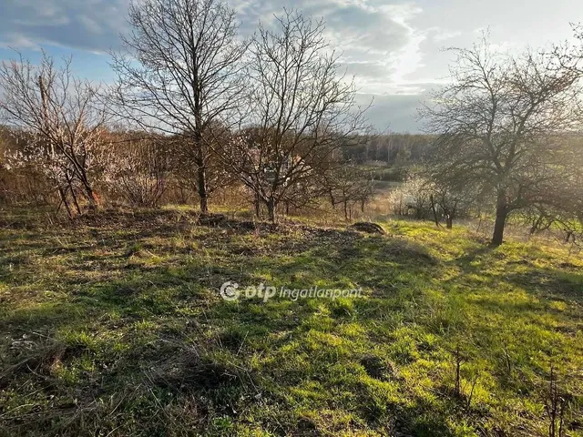 Eladó telek Martonvásár 2277 nm