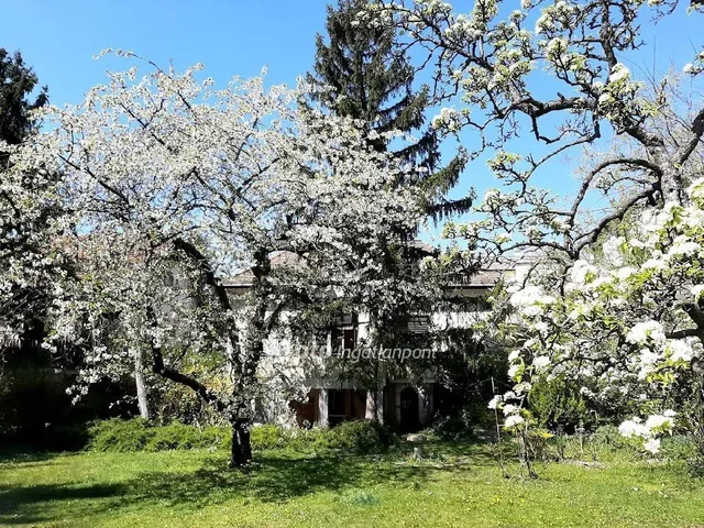 Eladó telek Budapest XI. kerület 1092 nm