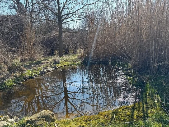 Eladó ház Vértesacsa 180 nm