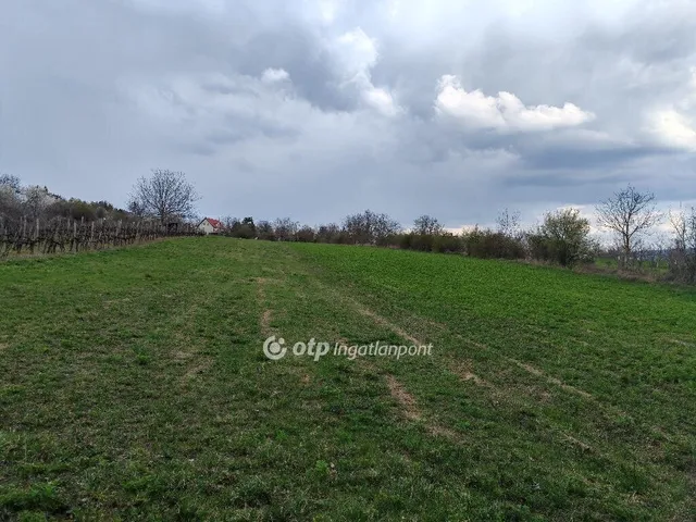 Eladó telek Tök 2223 nm