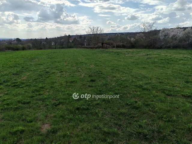 Eladó telek Tök 2223 nm