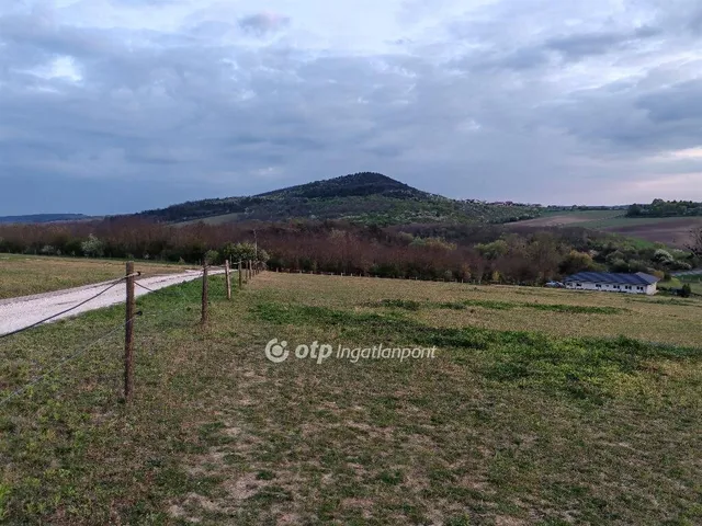 Eladó mezőgazdasági ingatlan Szomor 10000 nm