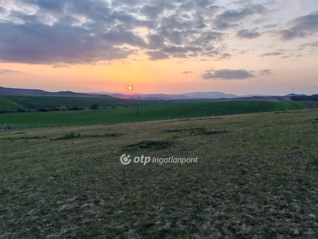 Eladó mezőgazdasági ingatlan Szomor 10000 nm