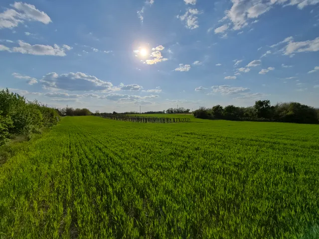 Eladó telek Érd, Ófalu 3535 nm