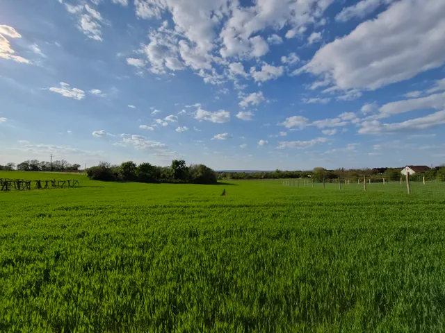 Eladó telek Érd, Ófalu, Ford utca 3535 nm