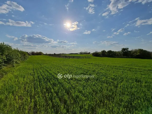 Eladó telek Érd 3535 nm
