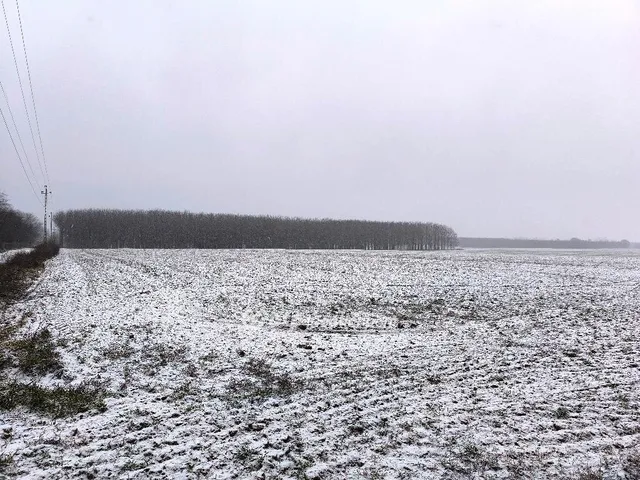 Eladó kereskedelmi és ipari ingatlan Ócsa 87008 nm