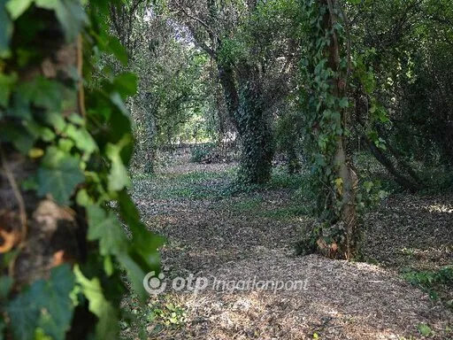 Eladó telek Érd 1679 nm