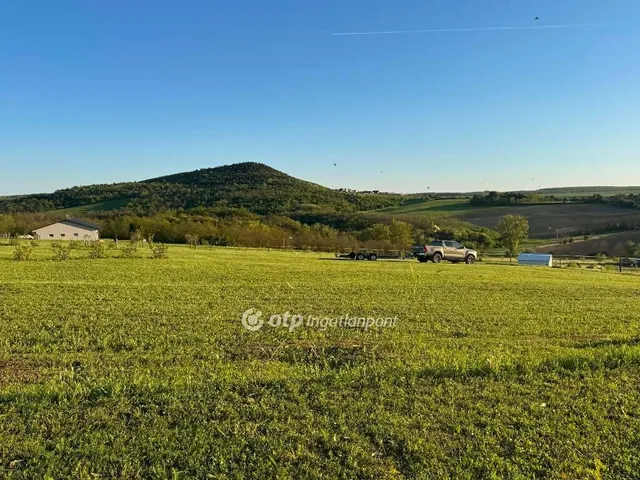 Eladó telek Szomor 10000 nm