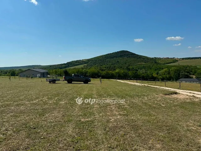 Eladó telek Szomor 10000 nm