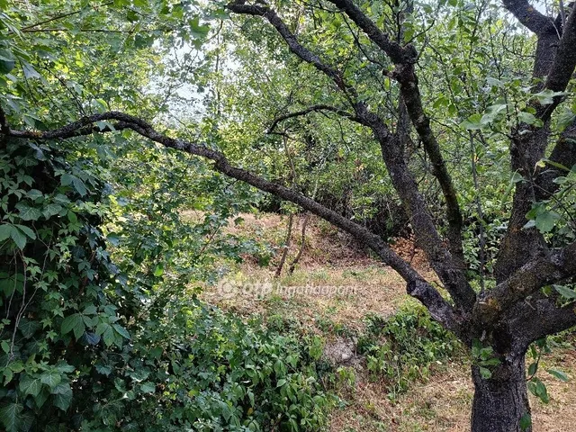 Eladó telek Érd, Érdliget 1115 nm