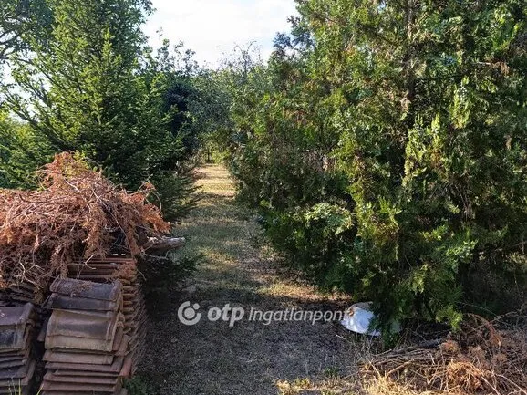 Eladó ház Tárnok, Öreghegy 40 nm