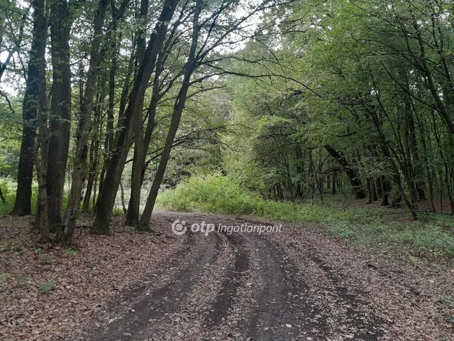 Eladó mezőgazdasági ingatlan Tarján 17240 nm