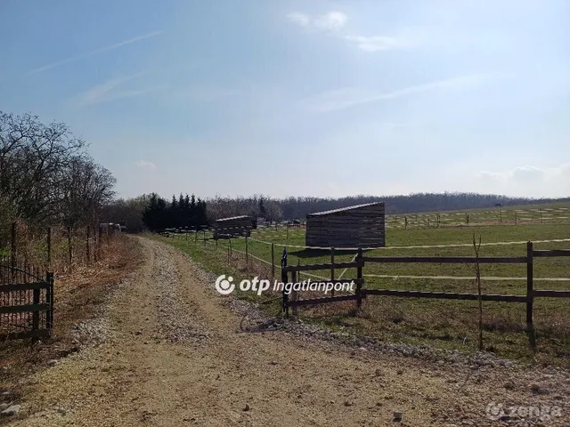 Eladó mezőgazdasági ingatlan Tök 60 nm