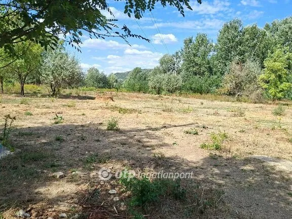 Eladó mezőgazdasági ingatlan Piliscsaba 28115 nm