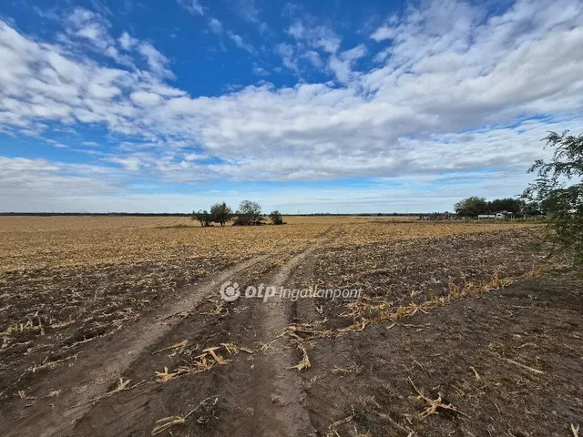 Eladó ház Iváncsa 128 nm