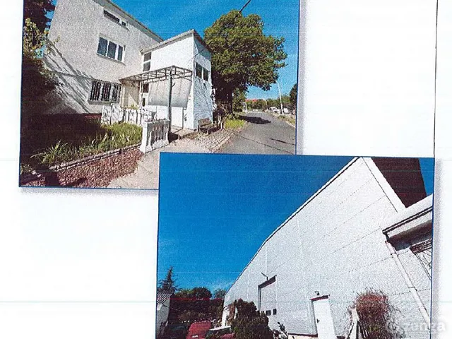 Eladó kereskedelmi és ipari ingatlan Gödöllő 16988 nm