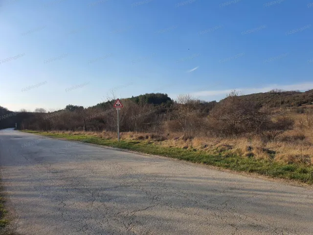 Eladó mezőgazdasági ingatlan Bajna 60895 nm
