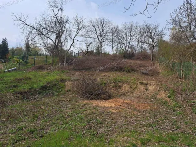Eladó mezőgazdasági ingatlan Esztergom 1971 nm