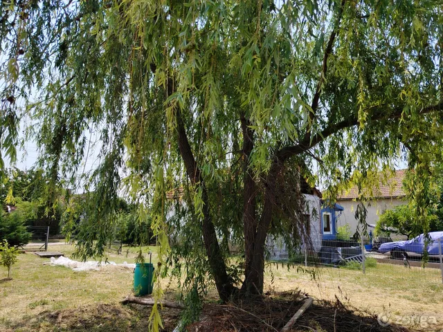 Eladó telek Abádszalók, Klapka u. 28. 626 nm