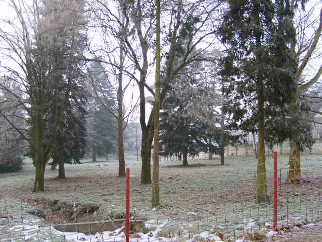 Eladó telek Zalaegerszeg, Andráshida 9000 nm
