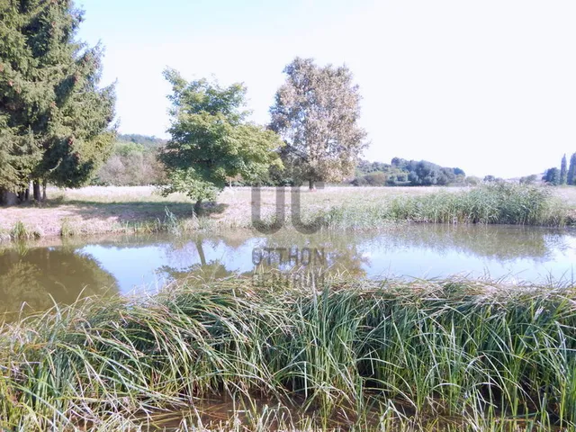 Eladó ház Pusztaszentlászló 225 nm