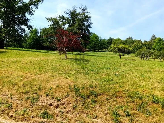 Eladó telek Boncodfölde 3901 nm