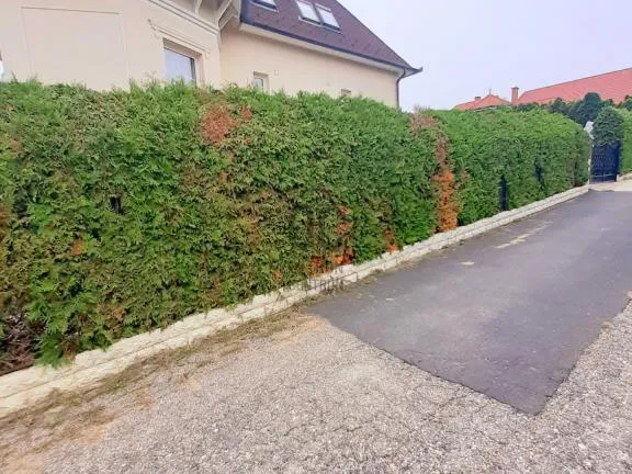 Eladó ház Hévíz 758 nm