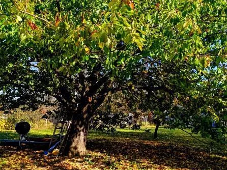 Eladó ház Nagypáli 120 nm