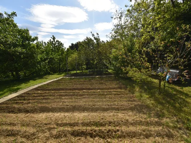 Eladó telek Sárhida 890 nm