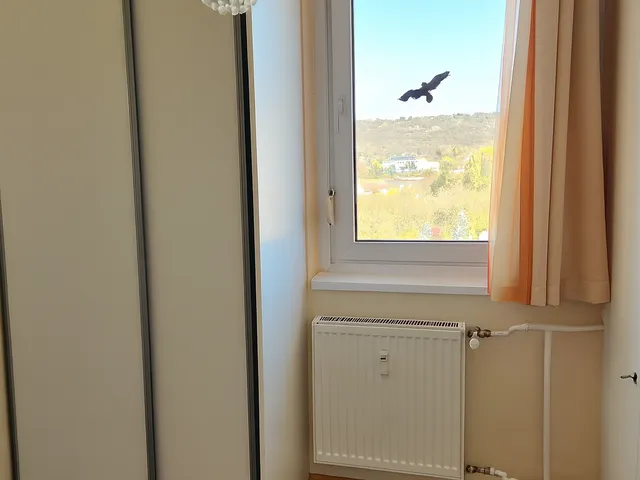 Eladó lakás Budapest III. kerület, Békásmegyer 56 nm