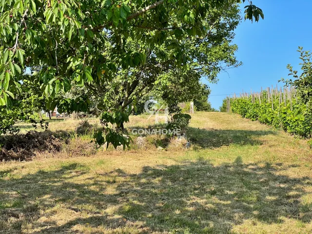 Eladó telek Veszprém 1667 nm