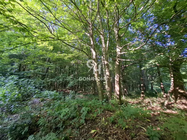 Eladó telek Isztimér 22276 nm