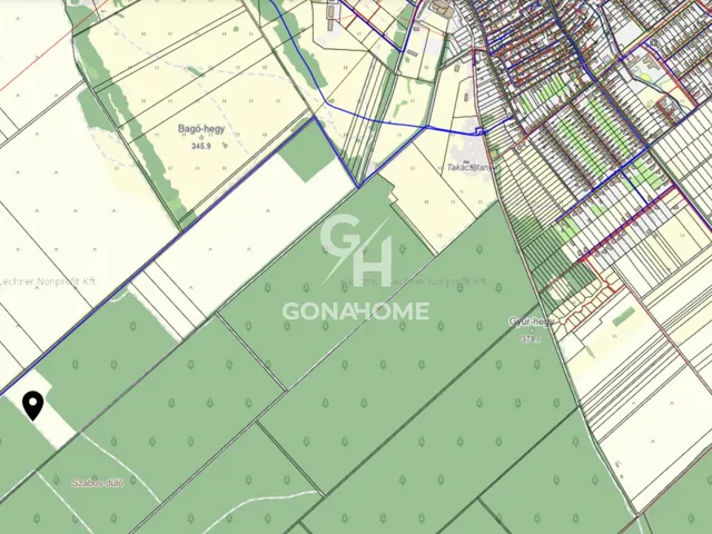 Eladó mezőgazdasági ingatlan Nemesvámos 53600 nm