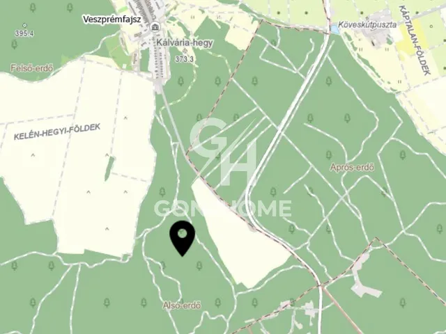 Eladó mezőgazdasági ingatlan Veszprémfajsz 16600 nm