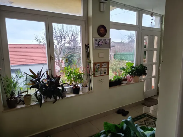 Eladó lakás Pécs, Bálics 159 nm